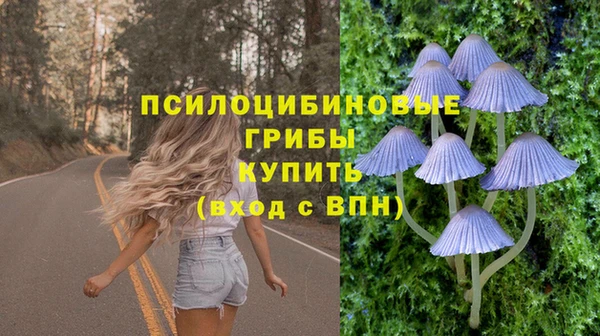 круглые Аркадак