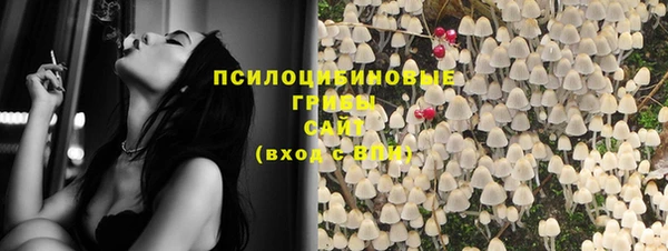 круглые Аркадак