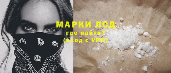 индика Каменногорск