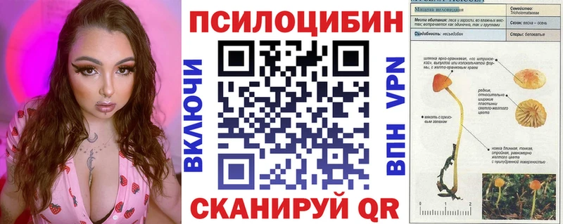 мега как войти  купить наркотик  Макарьев  Псилоцибиновые грибы Psilocybe 
